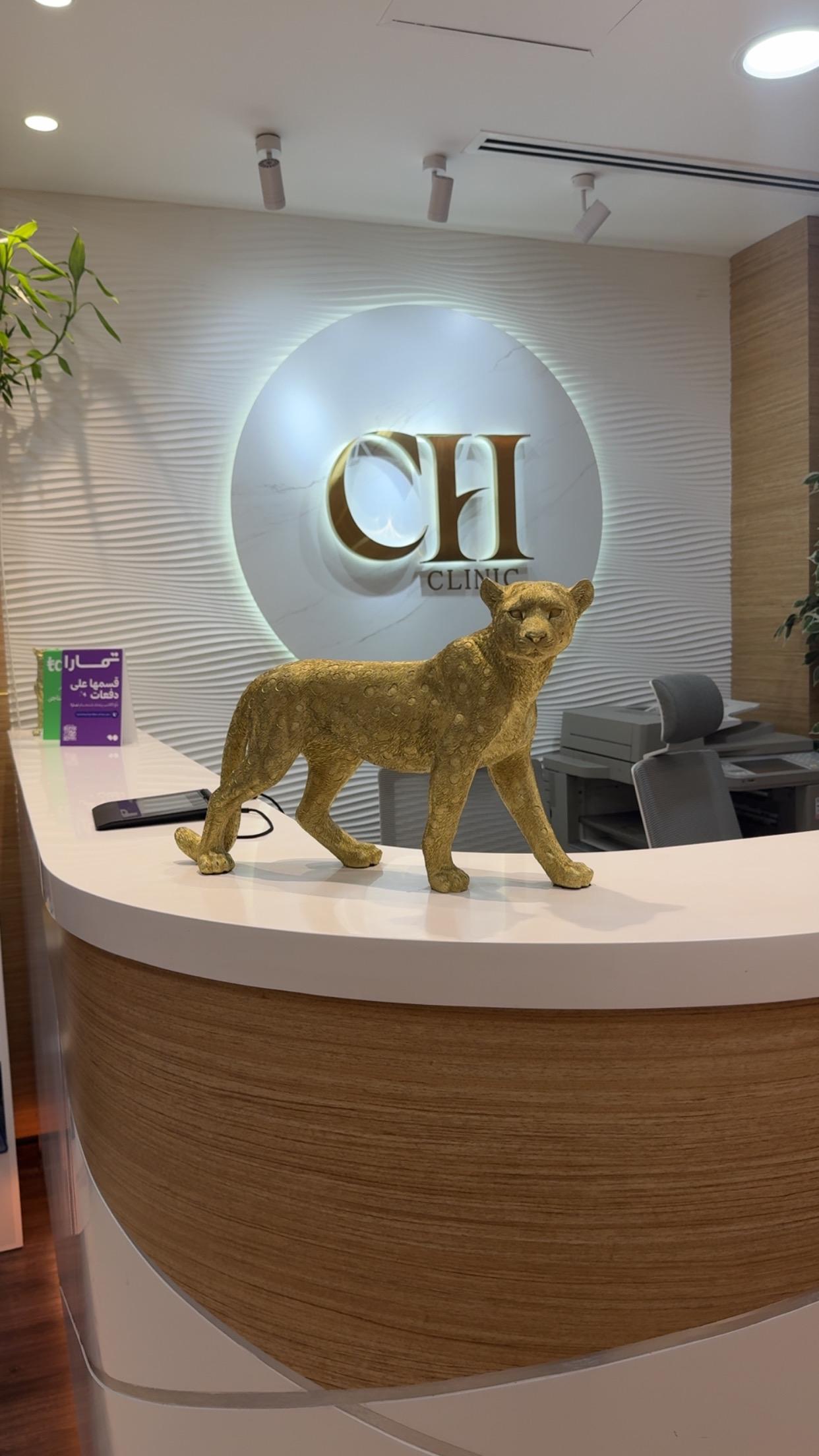 Cosmo Hub Clinic L.L.C — photo 8