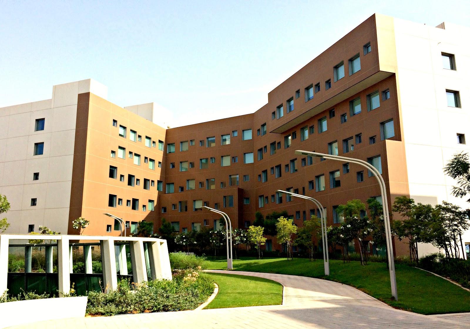 New York University IN Abu Dhabi Corporation-Abu Dhabi Clinic — صورة 7