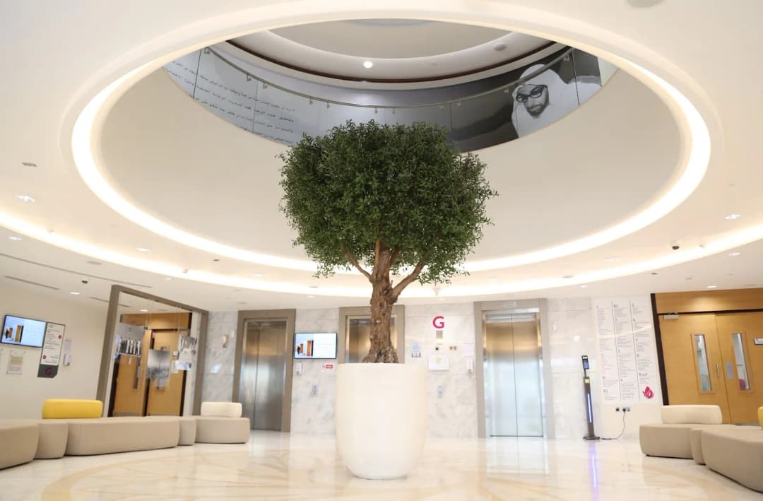 Al Tadawi Specialty Hospital — صورة 6