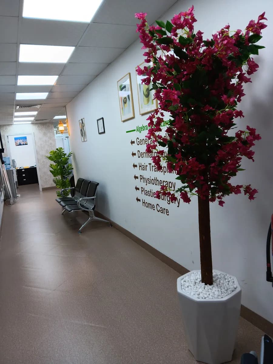 Algebra Polyclinic photo 2