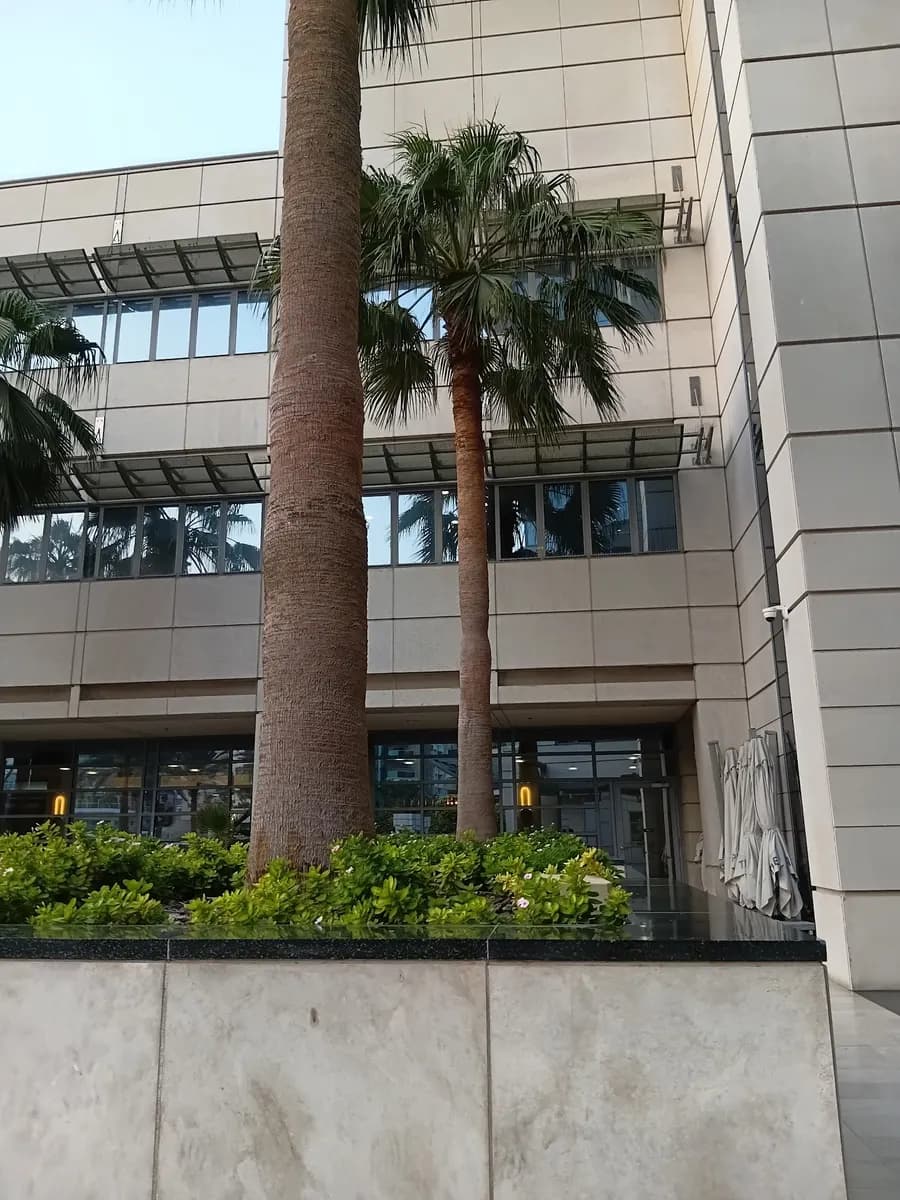 American Hospital Clinics Dubai Hills — صورة 6