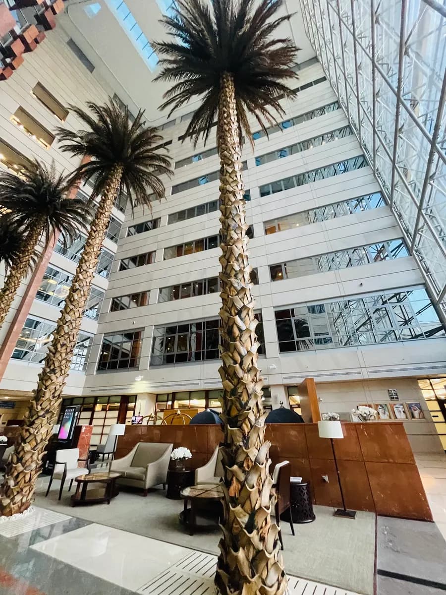 American Hospital Dubai — صورة 7