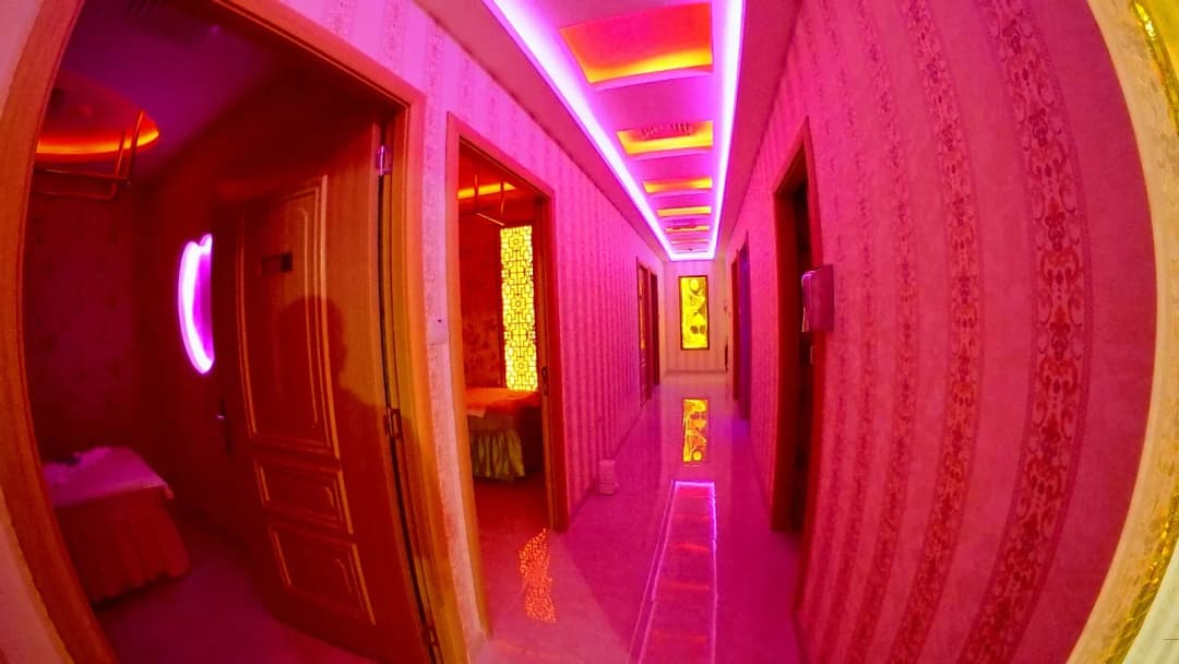 Bird Nest Acupuncture Therapy Clinic