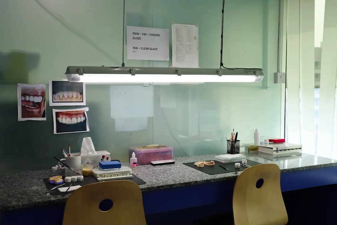 Canine Dental Laboratory — صورة 8