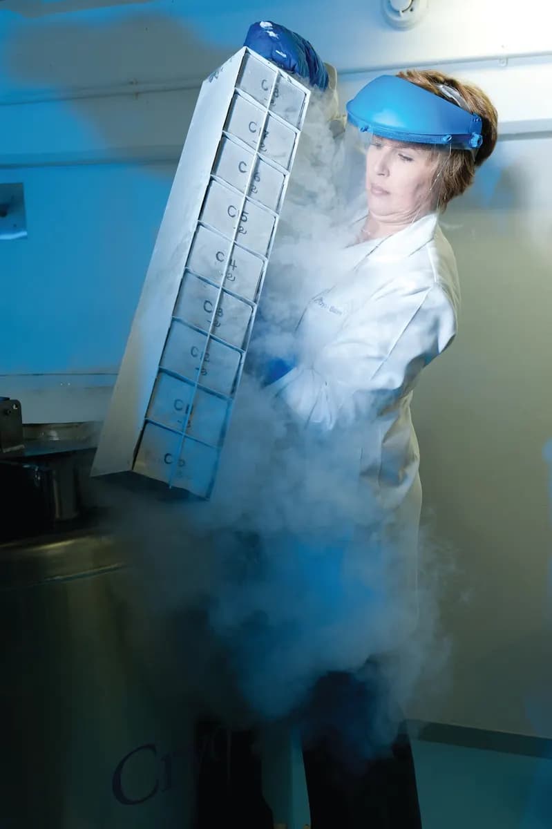 CellSave Arabia photo 5
