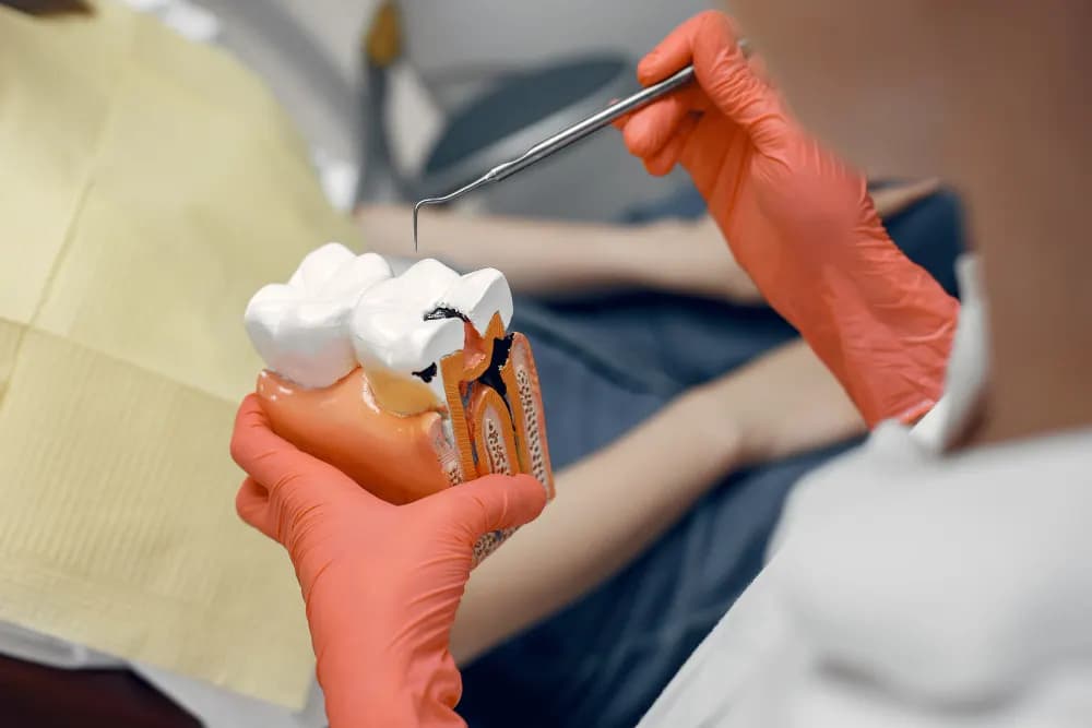 Cornerstone Poly Clinic — صورة 7