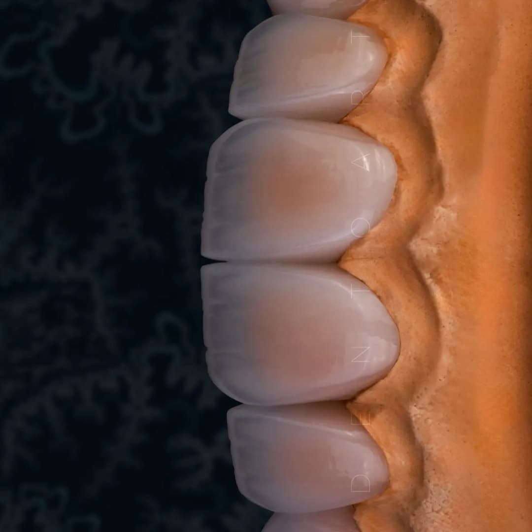 Dento Art Dental Lab photo 2