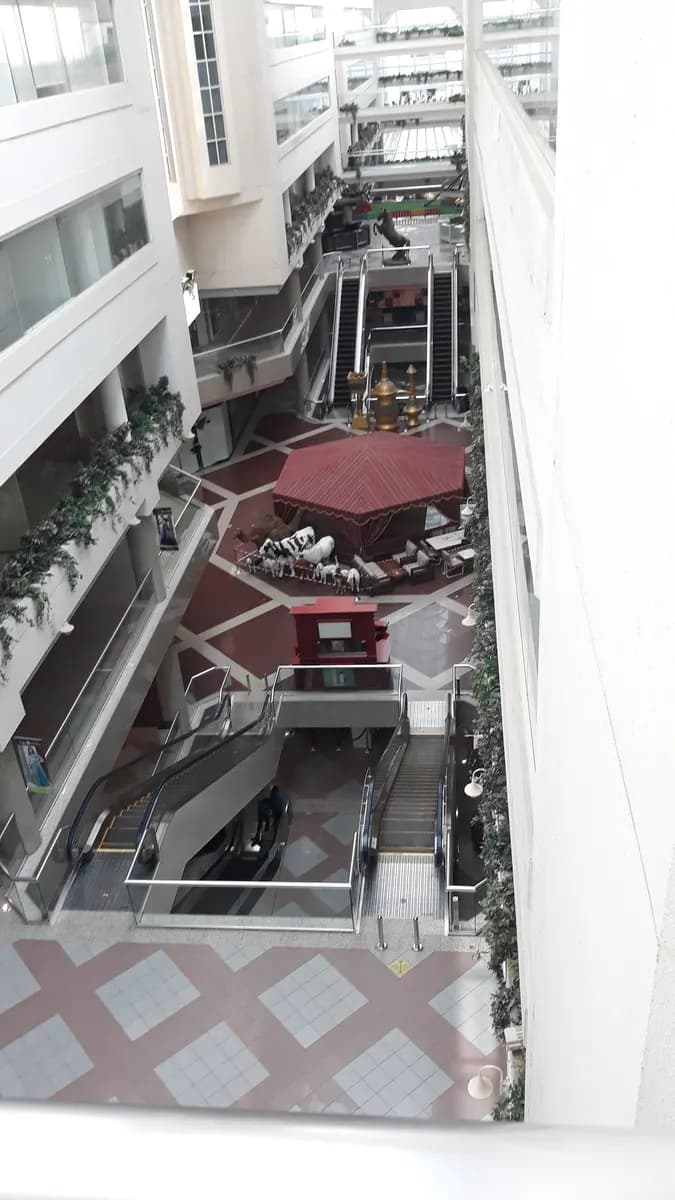 DR Mayson Alkaisi Clinic — صورة 6