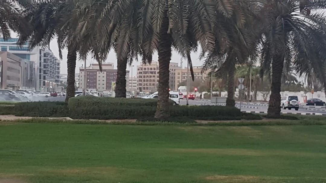 Dubai Community Health Center — صورة 8