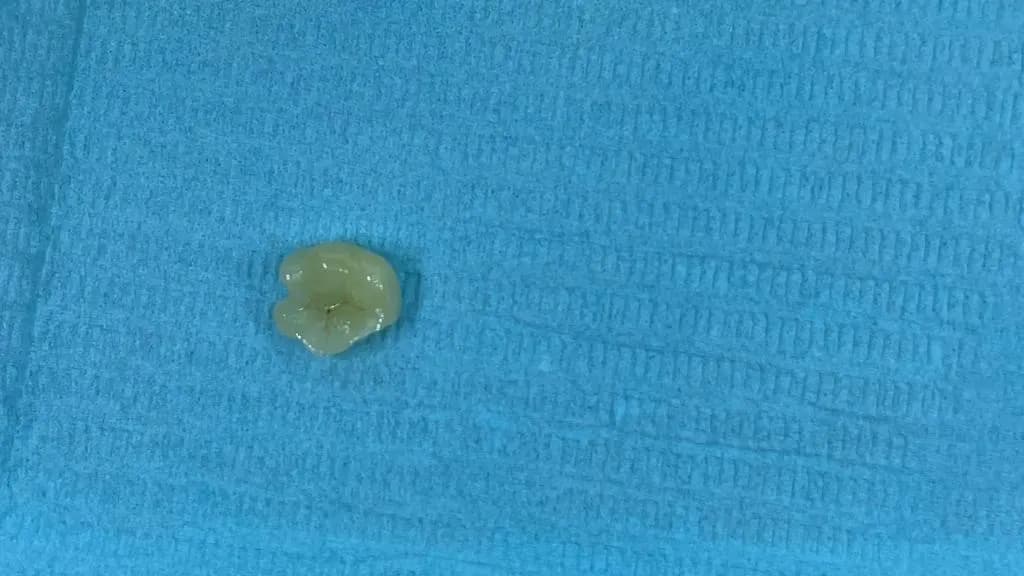 Empire Dental Clinic photo 4