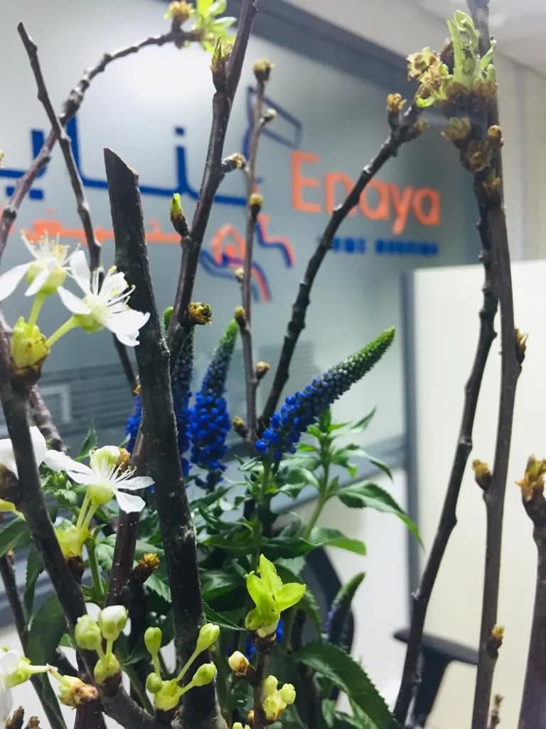 Enaya Home Nursing Services — صورة 7