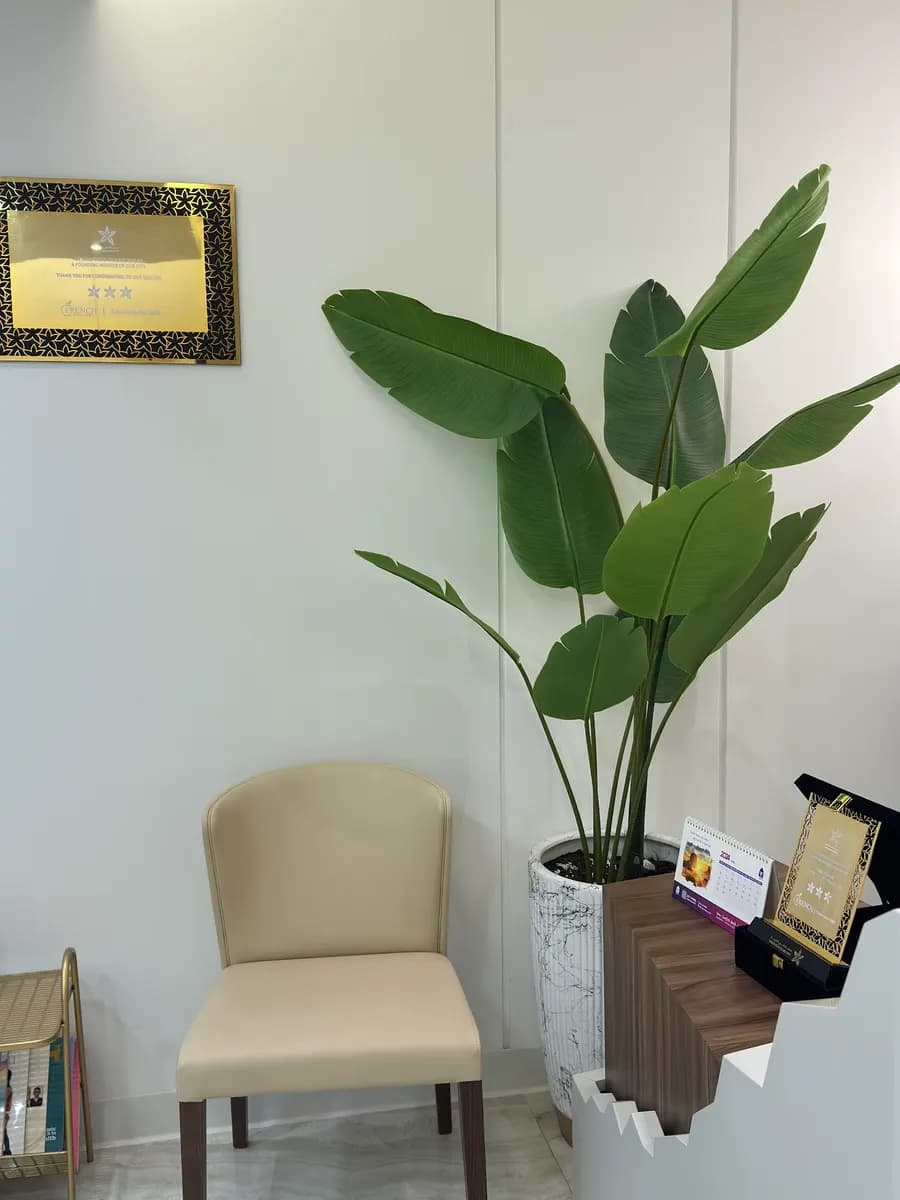 French Dental Clinic — صورة 7