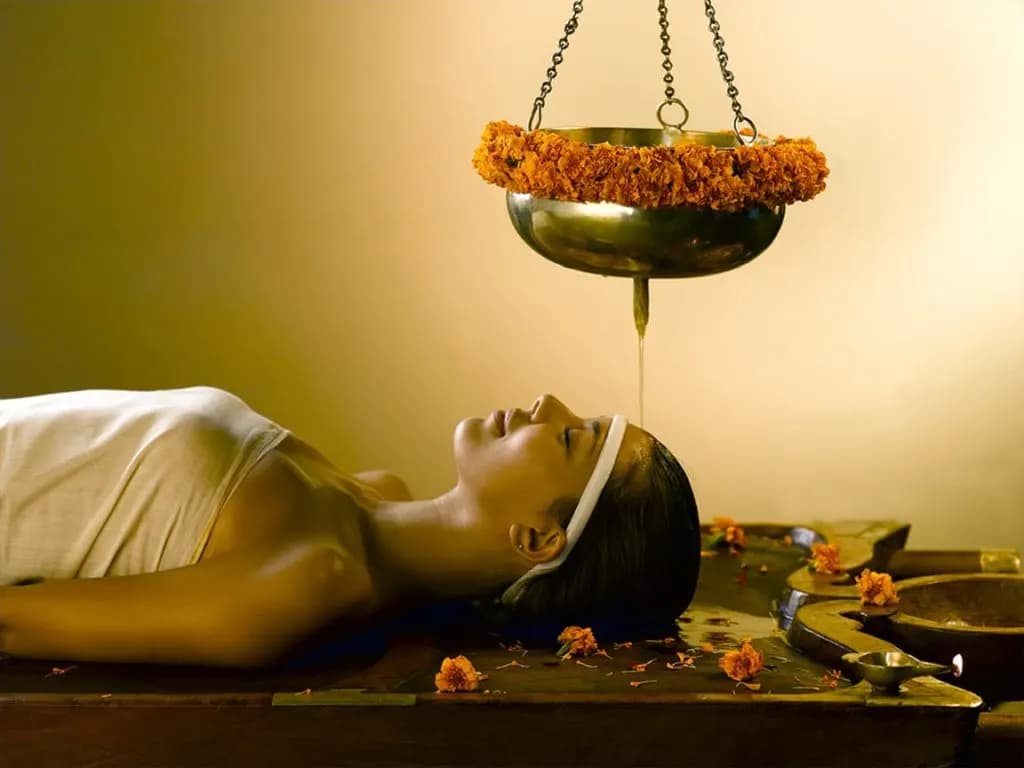Joshi Vaidyar Ayurvedic Medical Center CO — صورة 7
