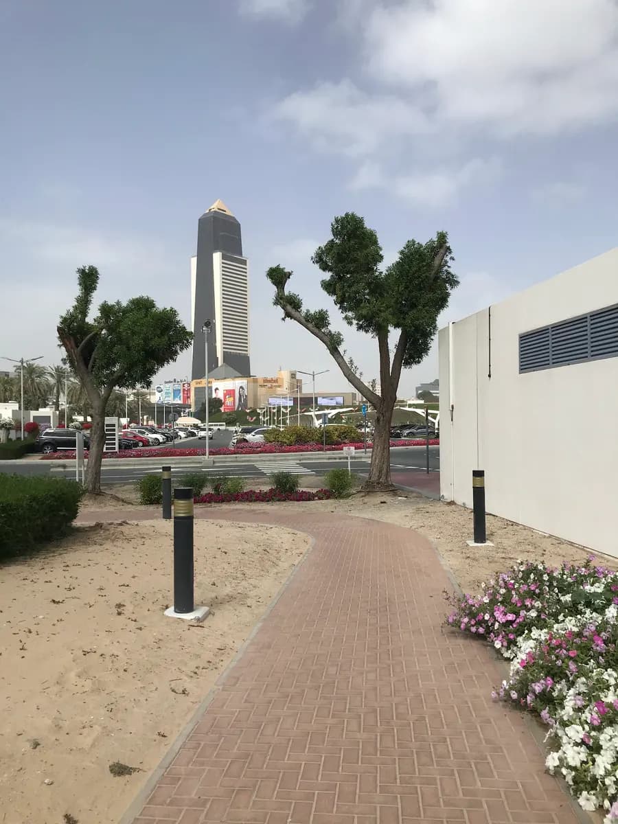 Latifa Hospital - Dubai Health photo 4