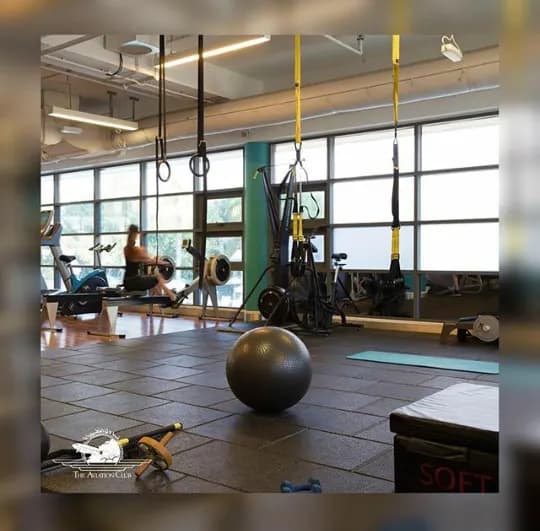 Move Freely Physiotherapy Center photo 2