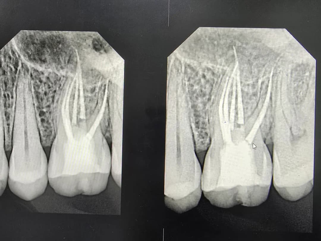Park Dental Center — صورة 8