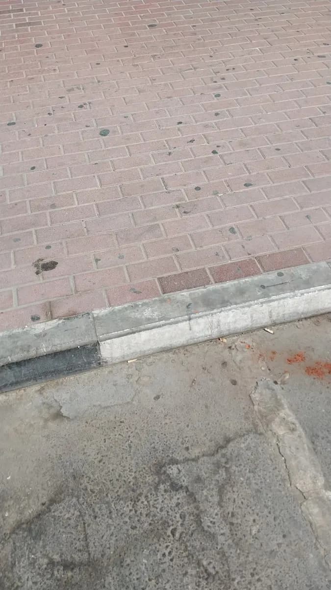 Ramada Pharmacy — صورة 8