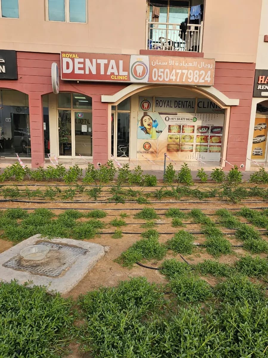 Royal Dental Clinic photo 5