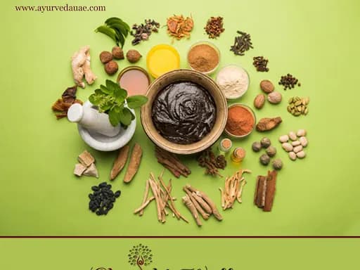 Shanthi Wellness Ayurvedic Medical Centre — صورة 7