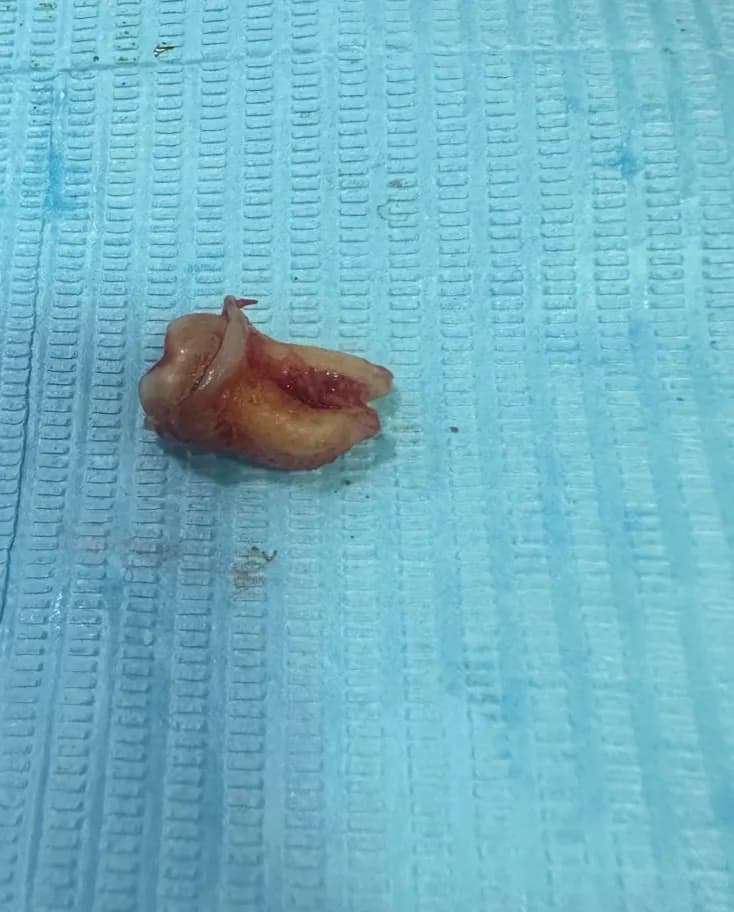 Shifa AL Raha General Dental Clinic — صورة 8