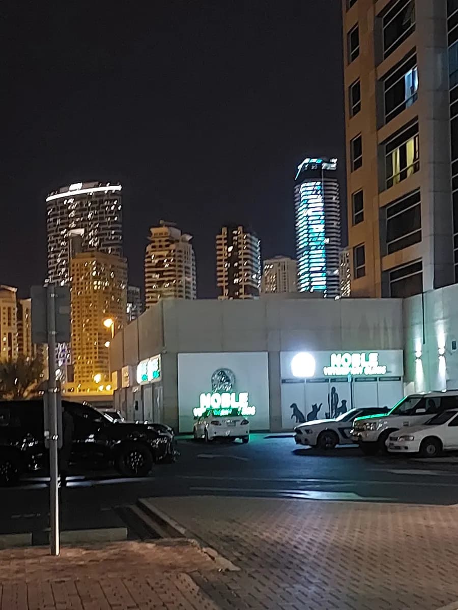 The Dome Meddental Clinic — صورة 6