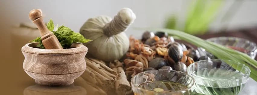 Veda Wellness Ayurvedic Medical Center