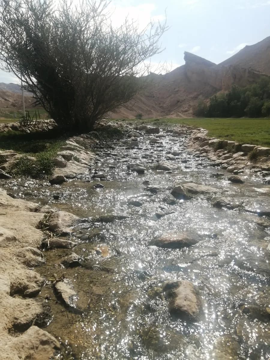 Mbazzarah Al Khadra photo 4