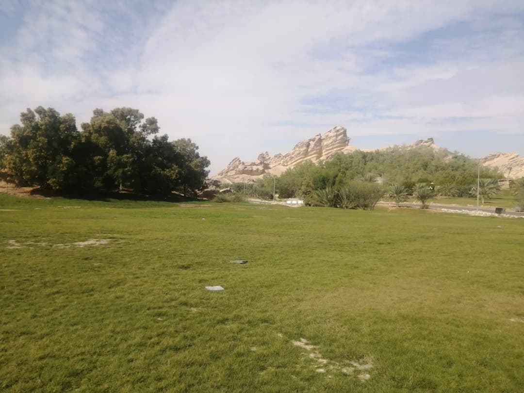 Mbazzarah Al Khadra photo 5