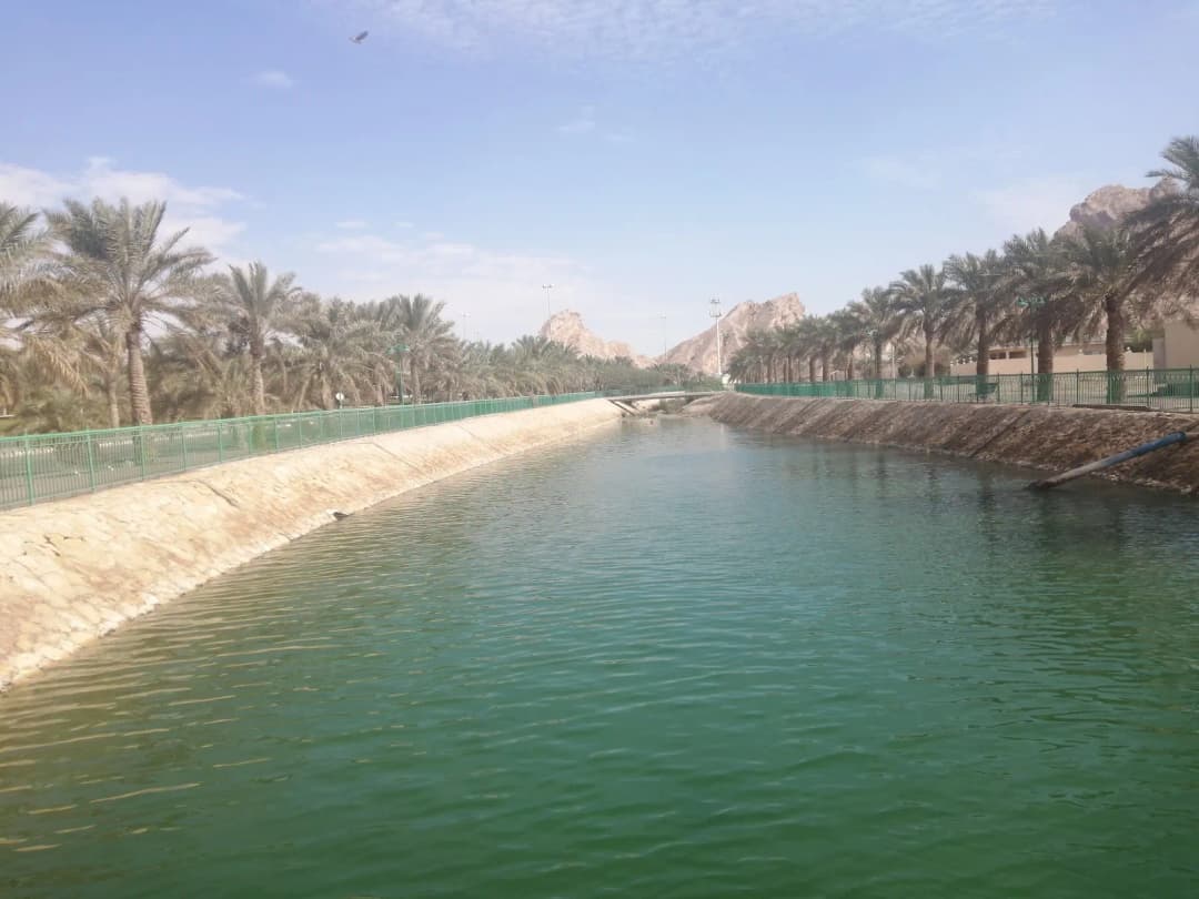 Mbazzarah Al Khadra — صورة 6