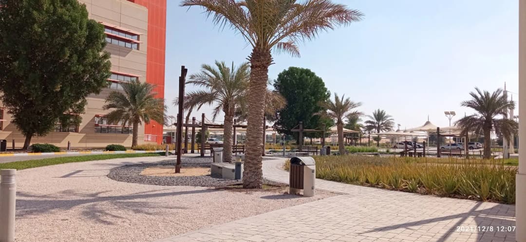 Baynounah Educational Complex For Schools First Aid Post photo 5