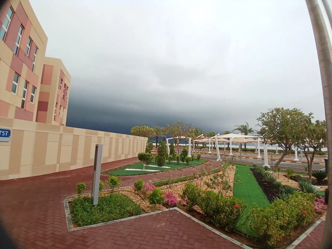 Yas School Clinic — صورة 8