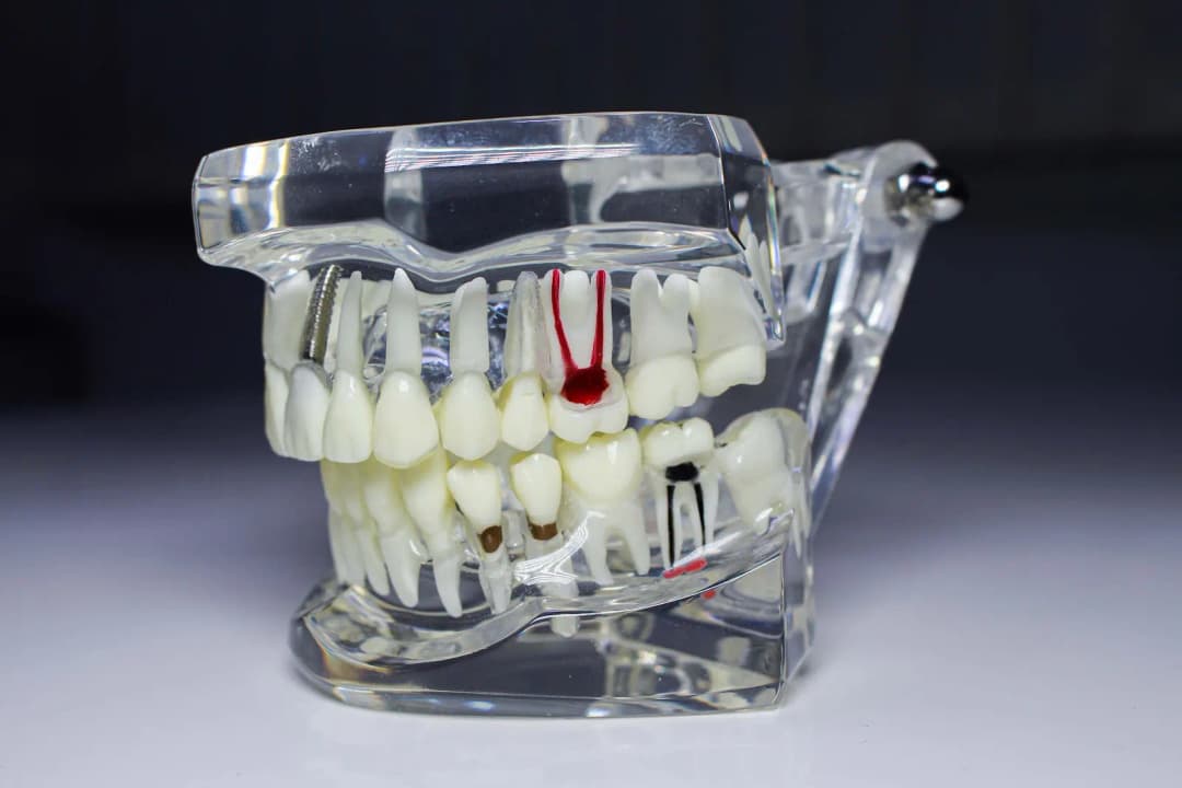AL Quds Specialized Dental Center — صورة 8