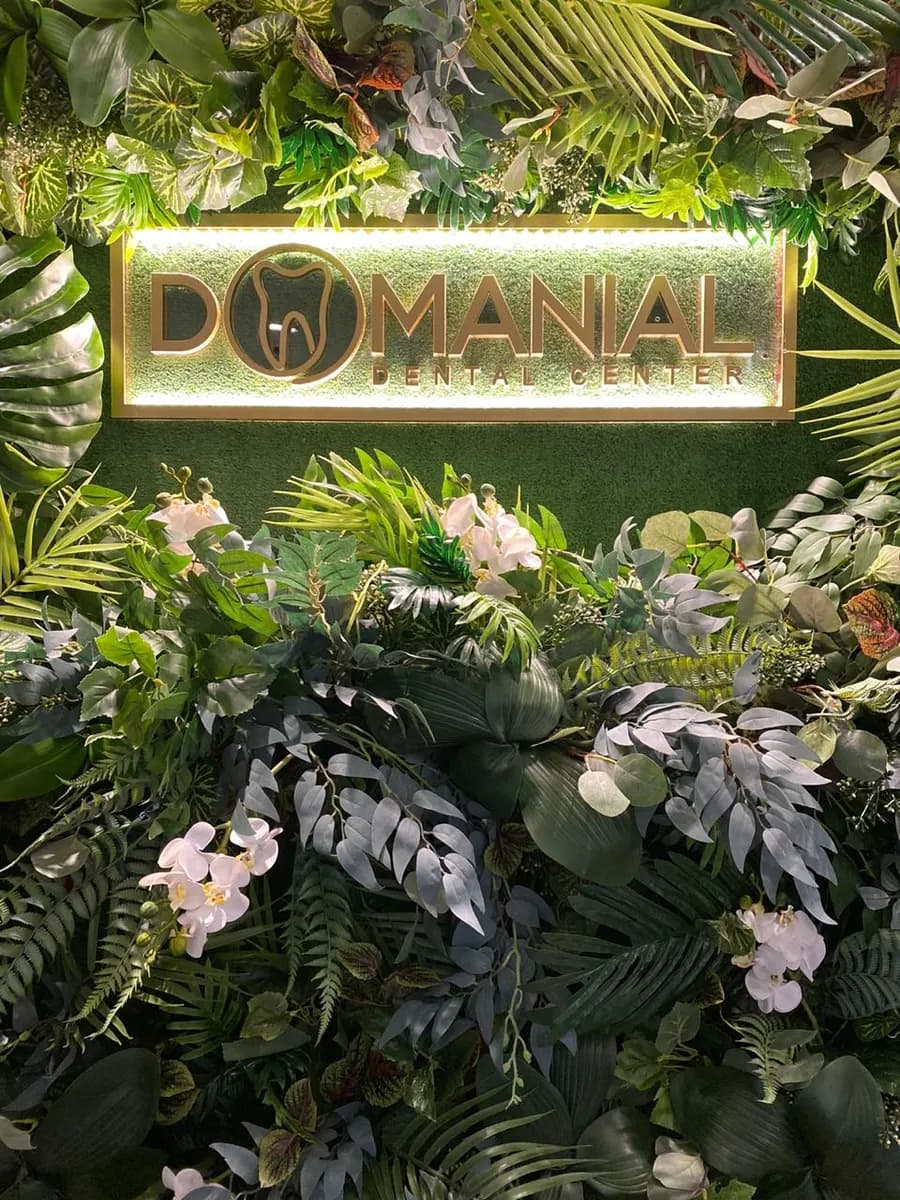 Domanial Dental Center