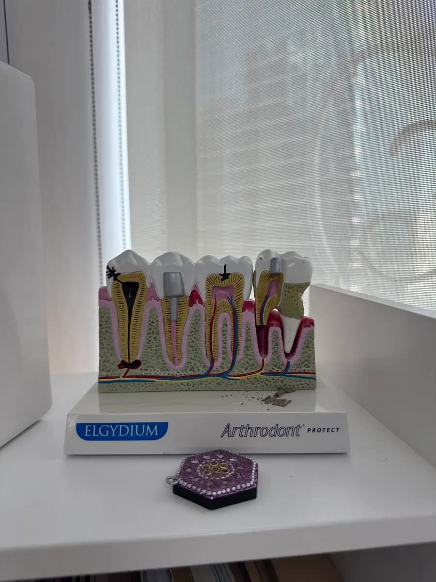 Zenith Dental Clinic — صورة 6