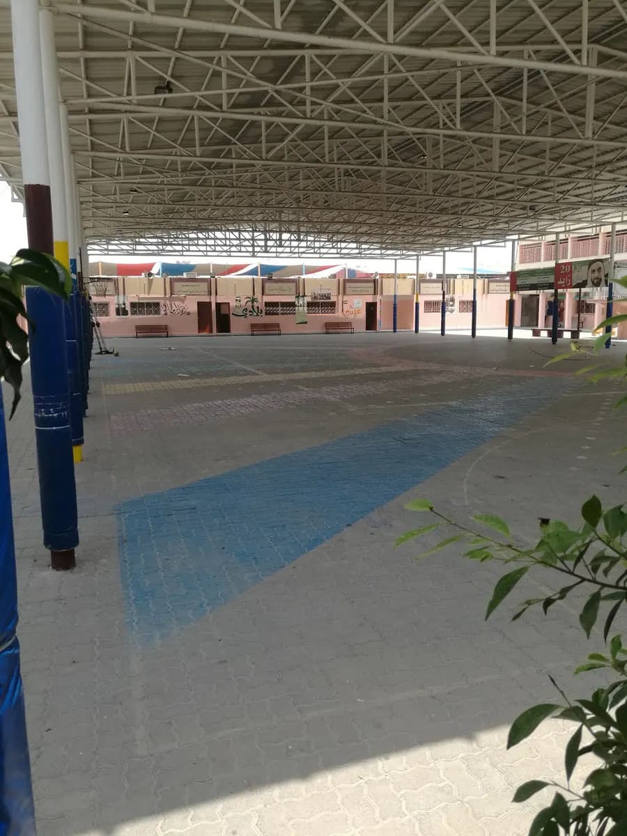 Vision Private School Clinic