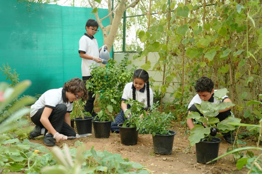 Global English School Clinic photo 4