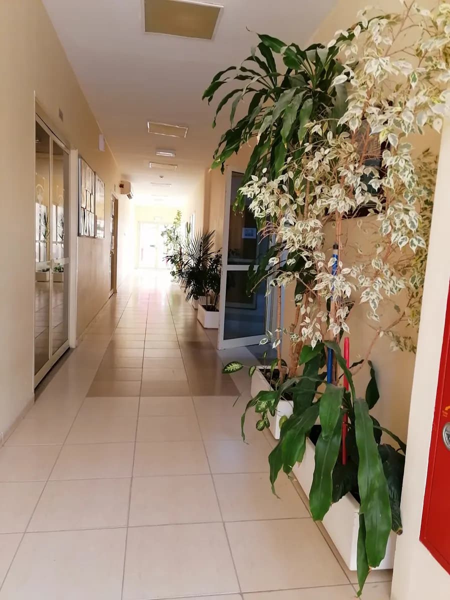 Bida Al Oshanah Clinic photo 5
