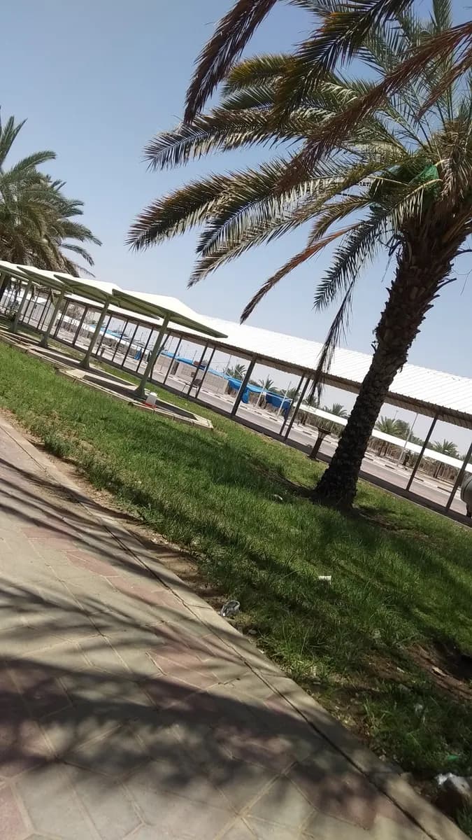 Seih Bin Ammar Hostel Clinic - UAE University — صورة 6