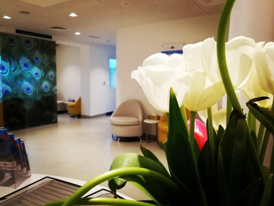 Moorfields Eye Hospital Centre photo 5