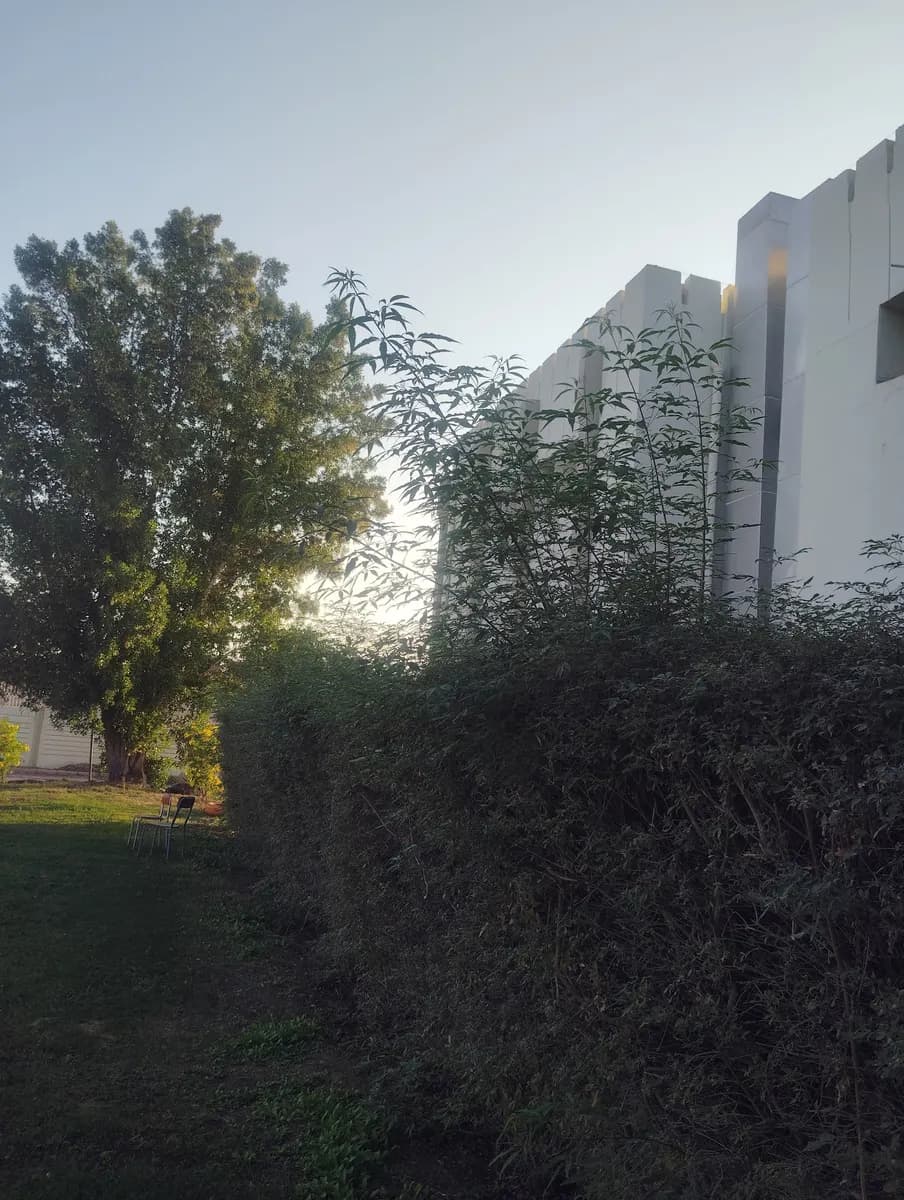 Refaah School Clinic — صورة 6