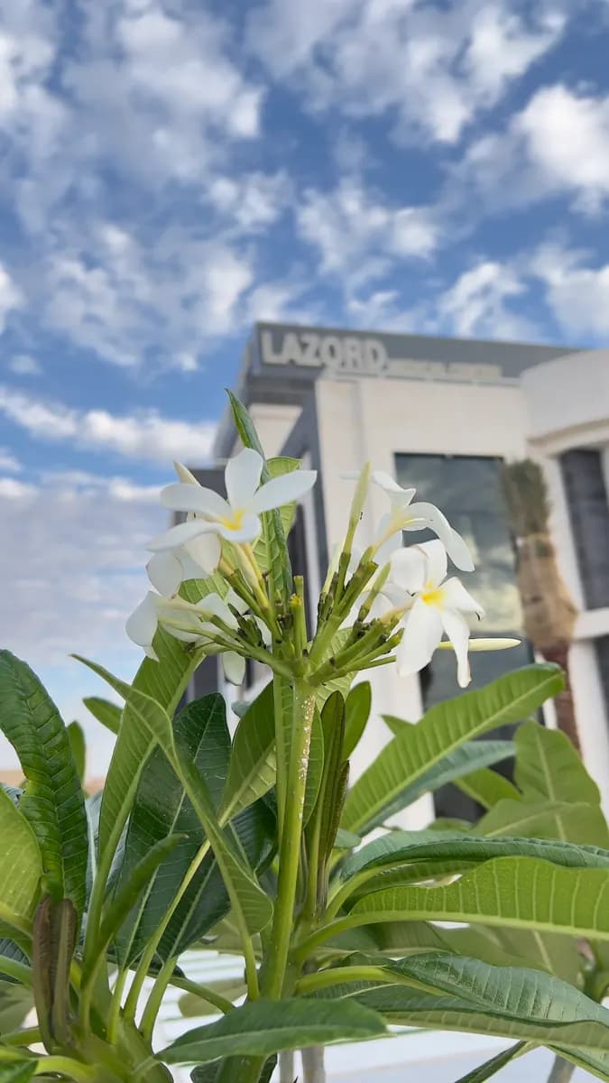 Lazord Medical Center photo 5
