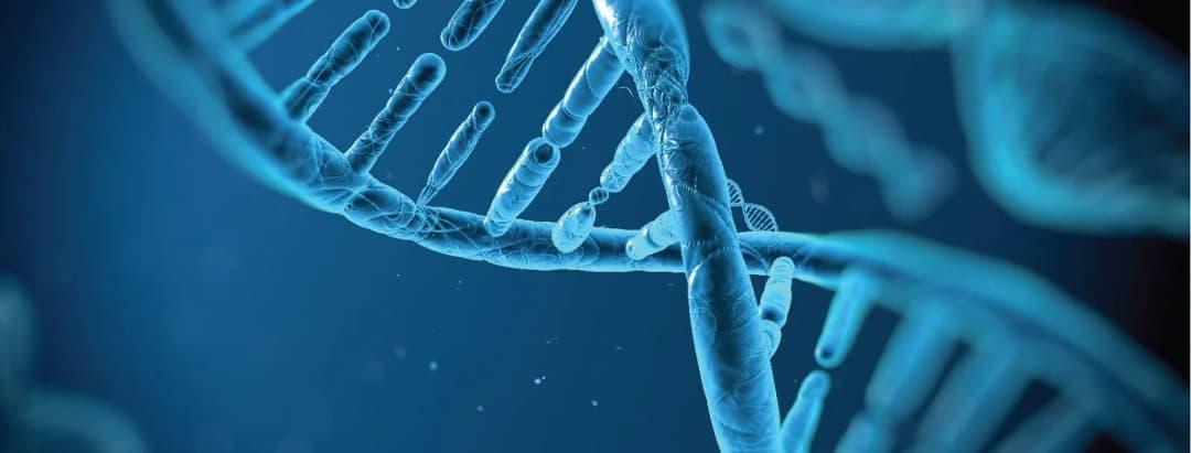 Abu Dhabi Stem Cells Center