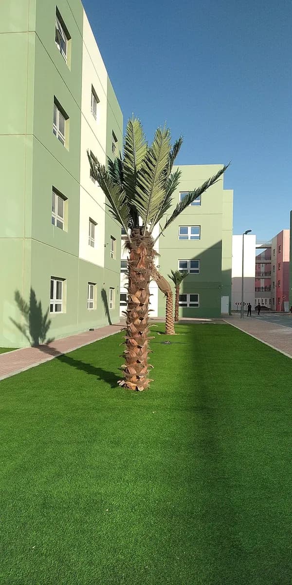 Emirates Huminiterian City Medical Center — صورة 8