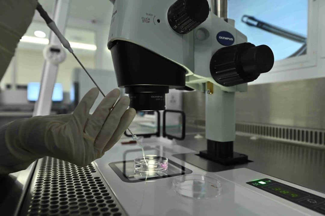 Trust Fertility Clinic