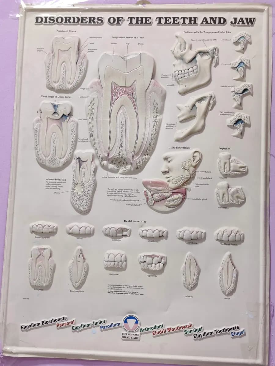 Ahlan Medical Center photo 3