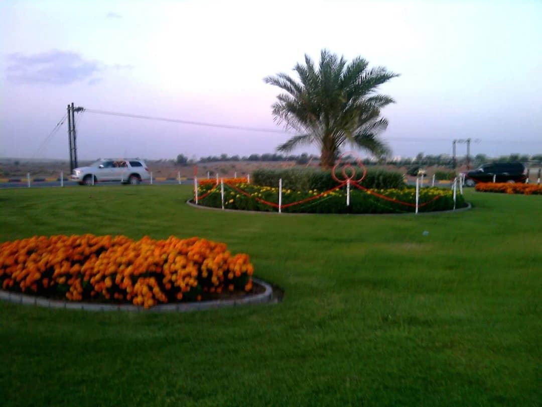 AL Dhaid Medical Specialist Centre photo 3