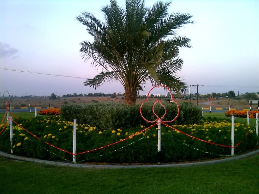 AL Dhaid Medical Specialist Centre photo 4