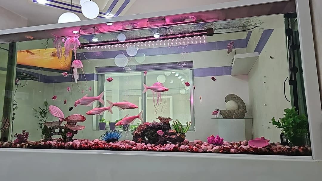 AL Lulua AL Baidhaa Dental Clinic — صورة 7