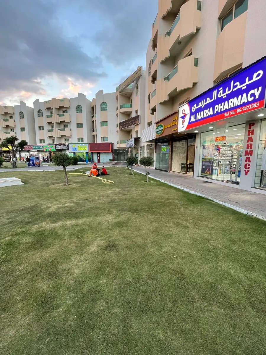 AL Marsa Pharmacy photo 5