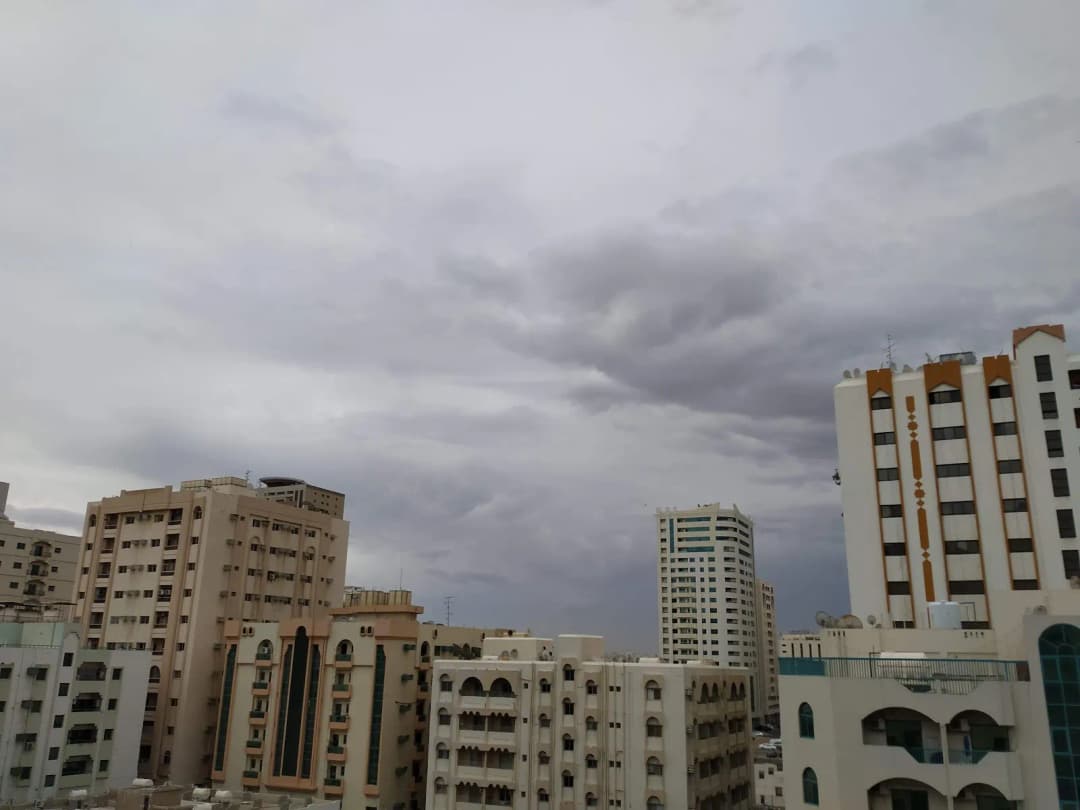 AL Qdus Pharmacy photo 2